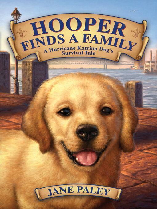 Cover image for Hooper Finds a Family